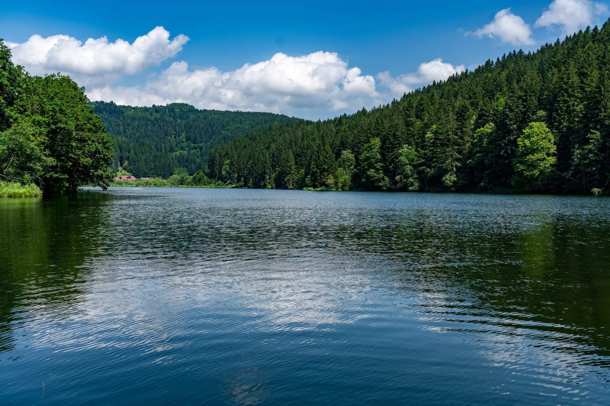 Goggauersee_Bad_2023_Marvin-Walder-9-2048x1366.jpg.jpg